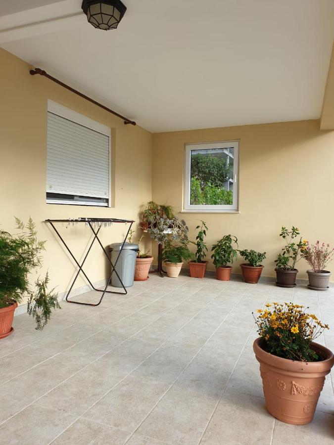 Apartment Jelena Котор Екстер'єр фото
