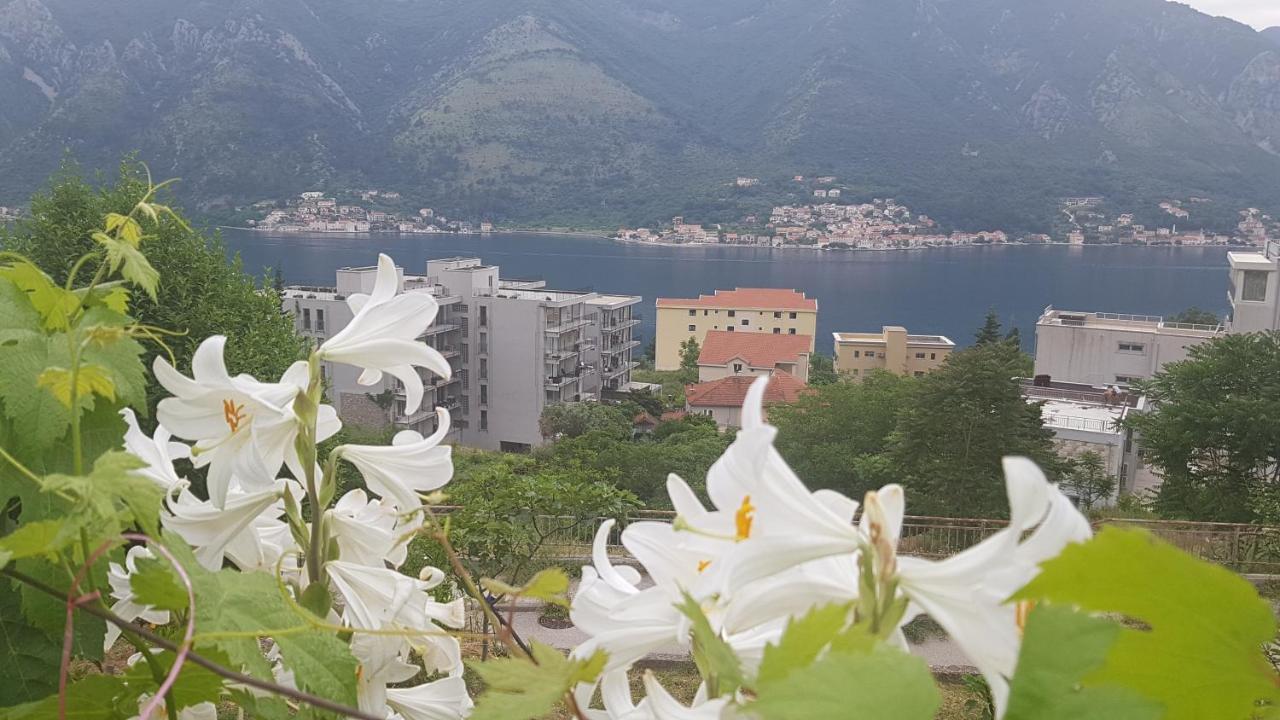 Apartment Jelena Котор Екстер'єр фото